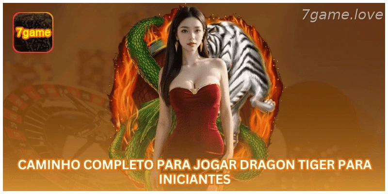 Guia completo para jogar Dragon Tiger para iniciantes.